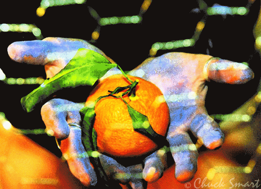 Chuck Smart - In the Moment